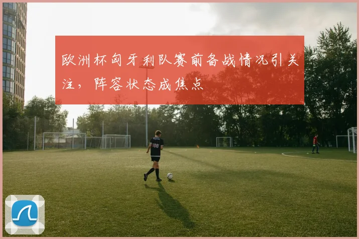 欧洲杯匈牙利队赛前备战情况引关注，阵容状态成焦点