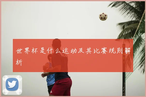 世界杯是什么运动及其比赛规则解析