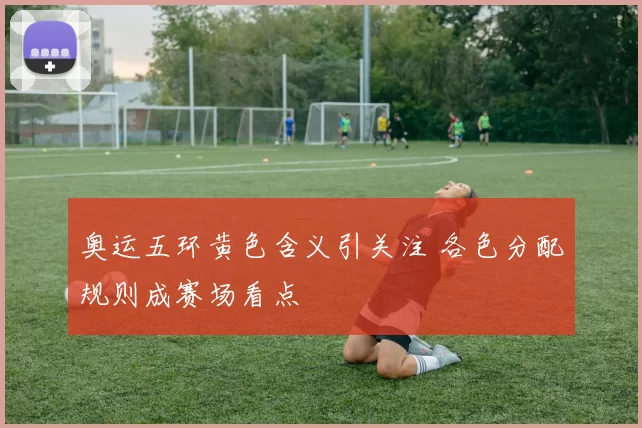 奥运五环黄色含义引关注 各色分配规则成赛场看点