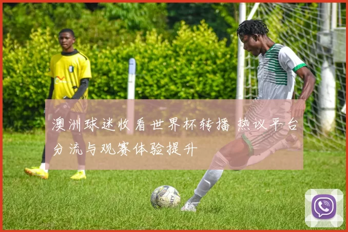 澳洲球迷收看世界杯转播 热议平台分流与观赛体验提升