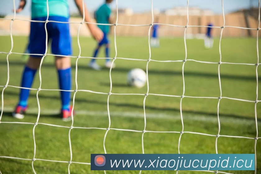 九游(NINE GAME)体育·官方网站 - 中国智慧体育科技领导者品牌故事