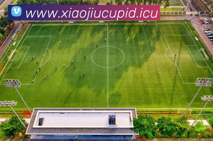 九游(NINE GAME)体育·官方网站 - 中国智慧体育科技领导者服务体系